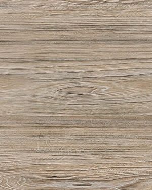 American Elm