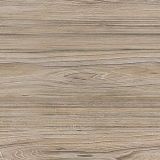 American-Elm.jpg