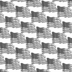 American Flag 22