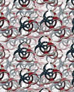 American Flag BioHazard 22