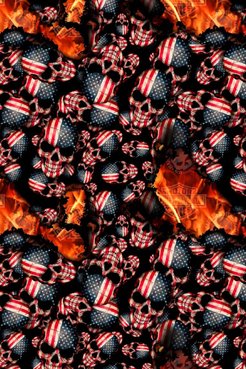American Flag Skull Burning