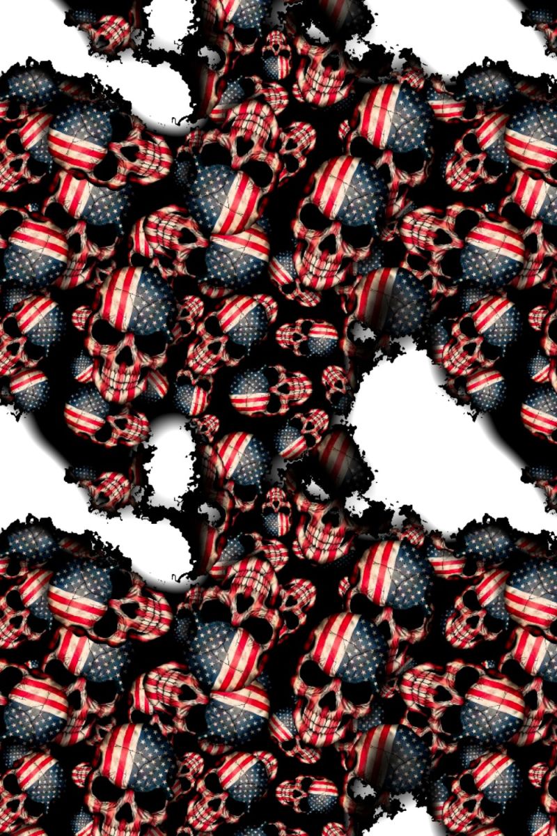 American Flag Skull Burnt