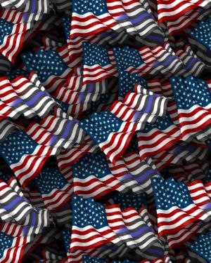 American Flag and Thin Blue Line Flag 22