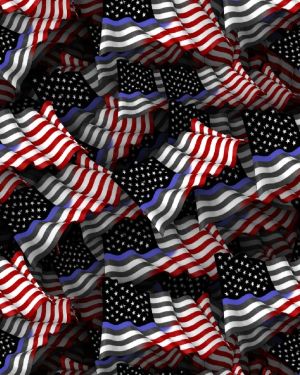 American Flag and Thin Blue Line Flag 23