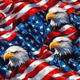 American-Flags-and-Eagles-43.jpg