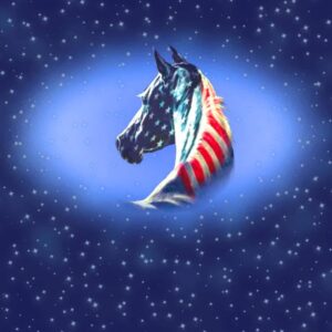 American Horse 11x16