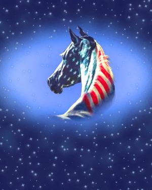 American Horse 11×16