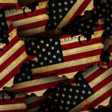 American-Patriot.jpg