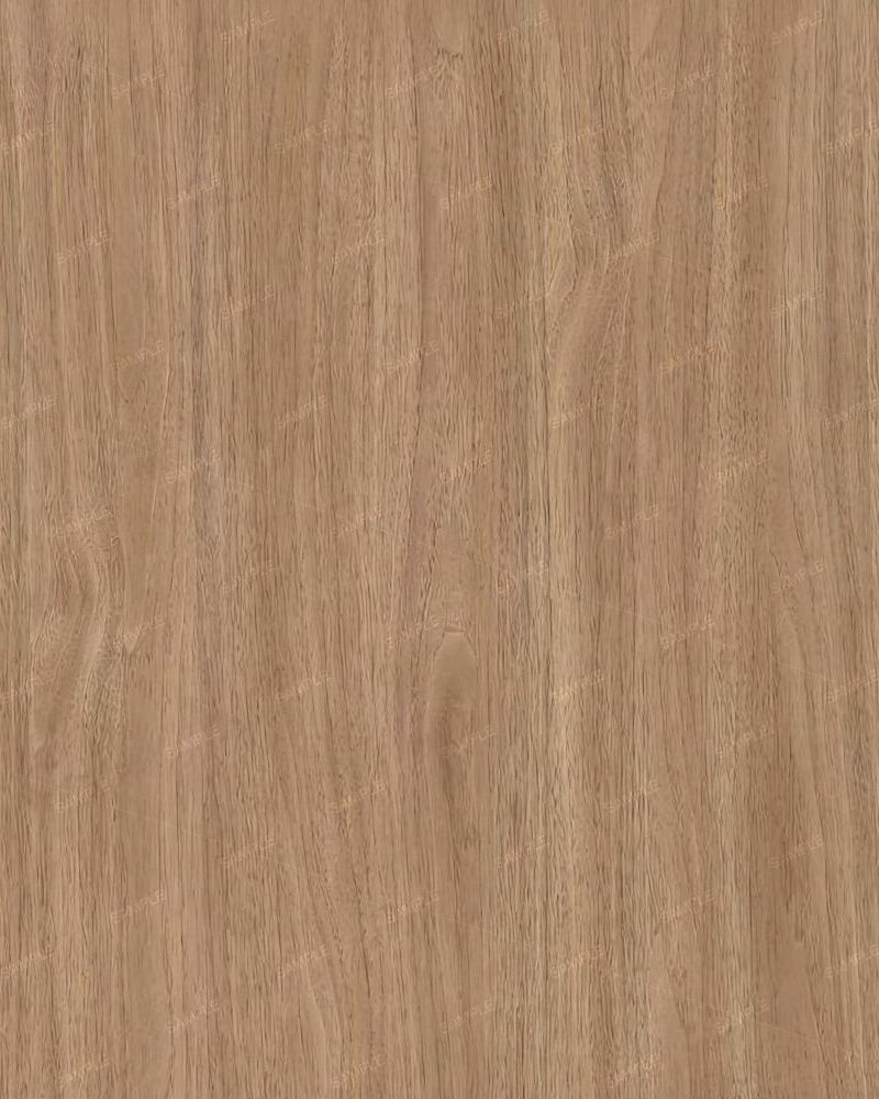 American Walnut 23