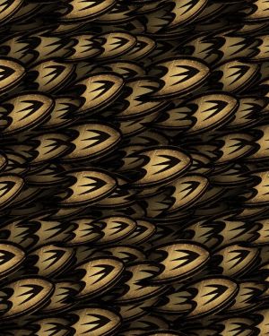 Anaheim Ducks 27