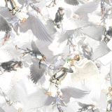 Angels-22.jpg