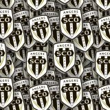 Angers-SCO.jpg