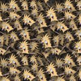 Angry-Beavers-23.jpg