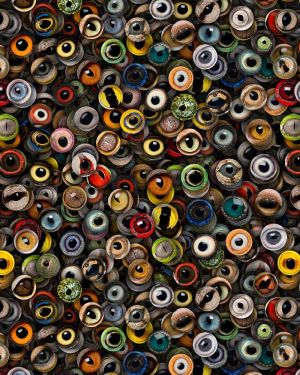 Animal Eyes