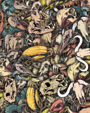 Animal Skulls 22