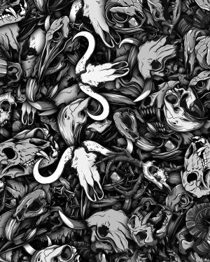 Animal Skulls 23