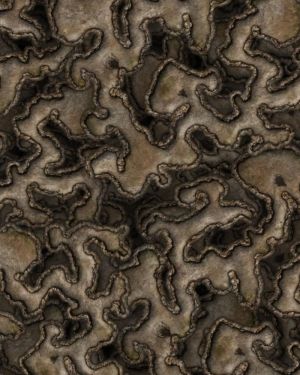 Ant Farm Camouflage