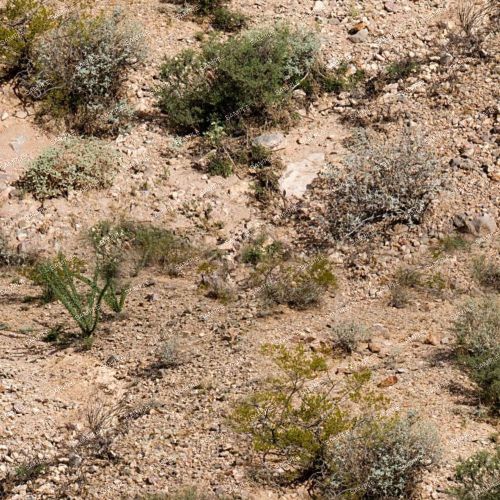 Antelope Canyon Camouflage