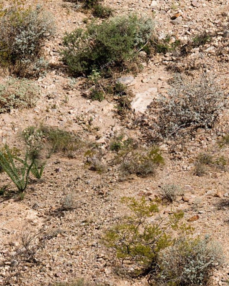 Antelope Canyon Camouflage
