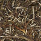 Antlers-22-thumb.jpg
