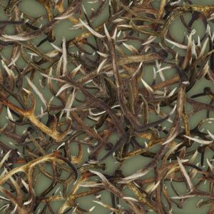 Antlers 23 Olive