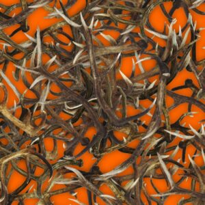Antlers 23 Orange