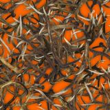 Antlers-23-Orange-thumb.jpg