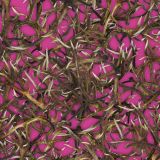 Antlers-23-Pink-thumb.jpg