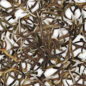 Antlers 23 White