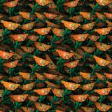Aquaman-26.jpg