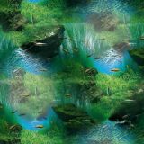 Aquarium-22.jpg