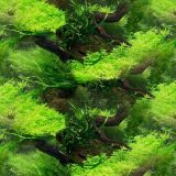 Aquarium-Background.jpg