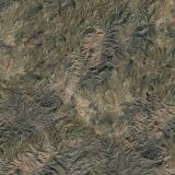 Arizona-Camo-22-1.jpg