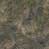 Arizona-Camo-22.jpg