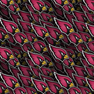 Arizona Cardinals 23
