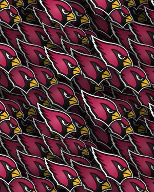 Arizona Cardinals 23
