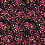 Arizona-Cardinals-23.jpg