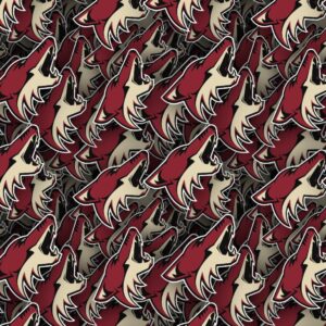 Arizona Coyotes 22