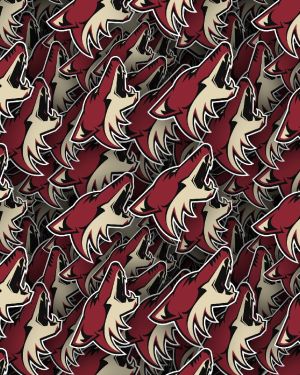 Arizona Coyotes 22