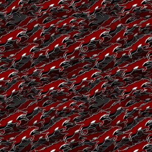 Arizona Coyotes 23