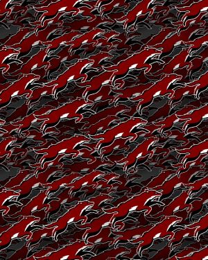 Arizona Coyotes 23