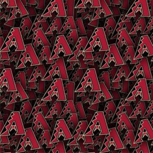 Arizona Diamondbacks 22