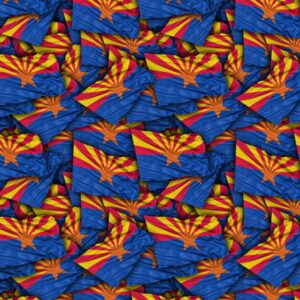 Arizona State Flag