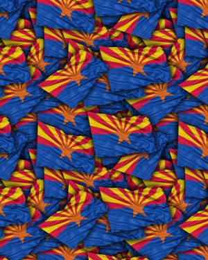 Arizona State Flag