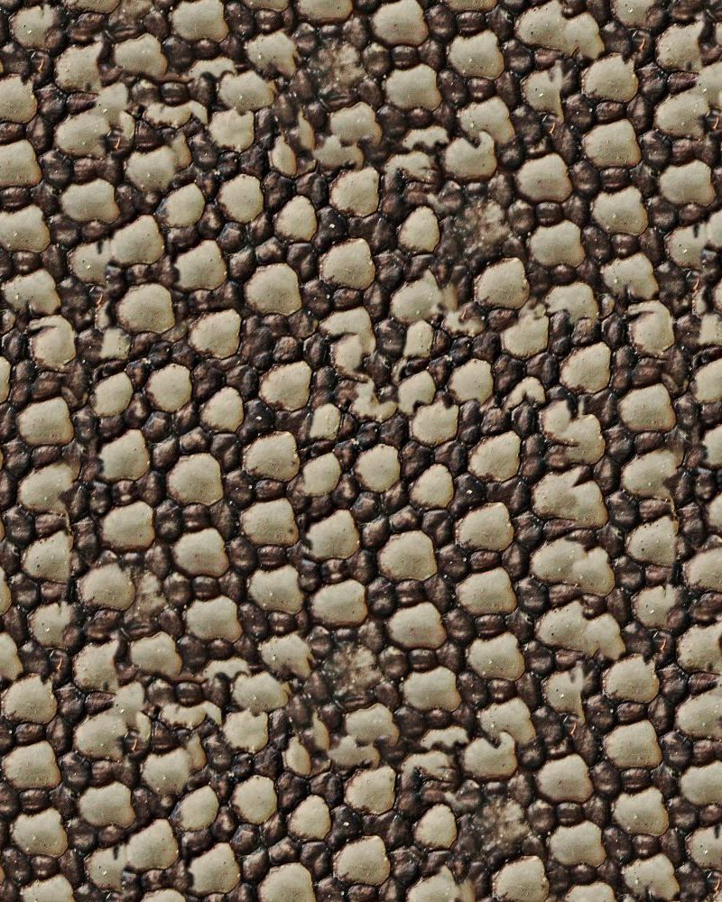 Armadillo Hide 22