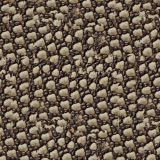 Armadillo-Hide-22.jpg
