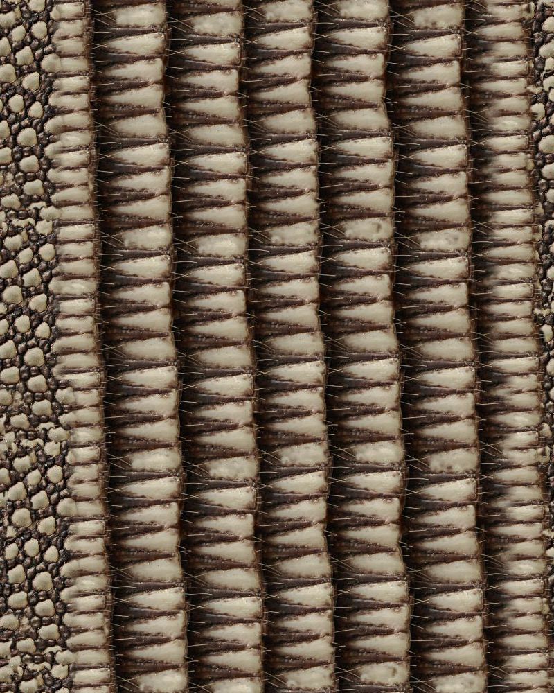 Armadillo Hide 24