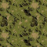 Armed-Forces-26-Camo.jpg