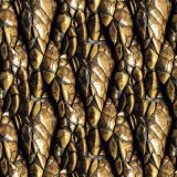 Armored-Dragon-Scales-1.jpg
