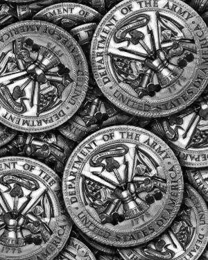 Army Medallion 23-2
